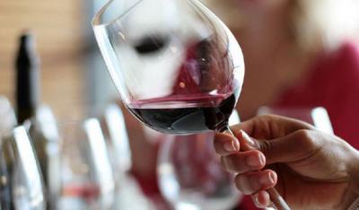 Degustaciones Guiadas en Bodegas de Argentina.